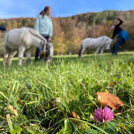 Buechlhof - App. Breitenstein Lilienfeld Bagian luar foto