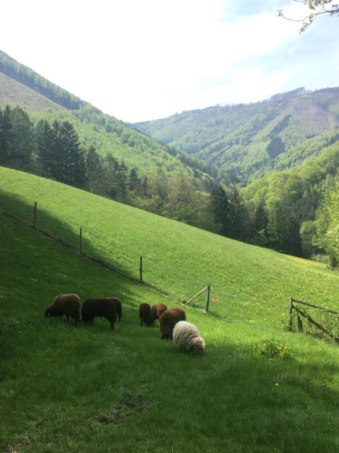 Buechlhof - App. Breitenstein Lilienfeld Bagian luar foto