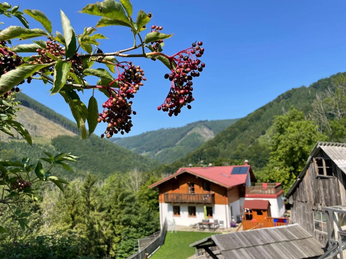 Buechlhof - App. Breitenstein Lilienfeld Bagian luar foto