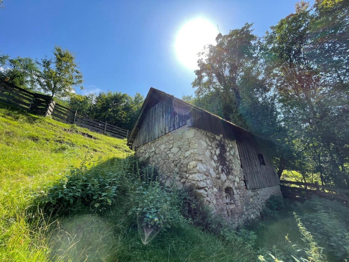 Buechlhof - App. Breitenstein Lilienfeld Bagian luar foto